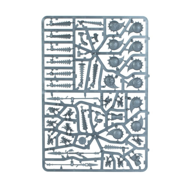 Spearhead: Seraphon - Predatori della Stirpe Solare - GRAND ALLIANCE ORDER
