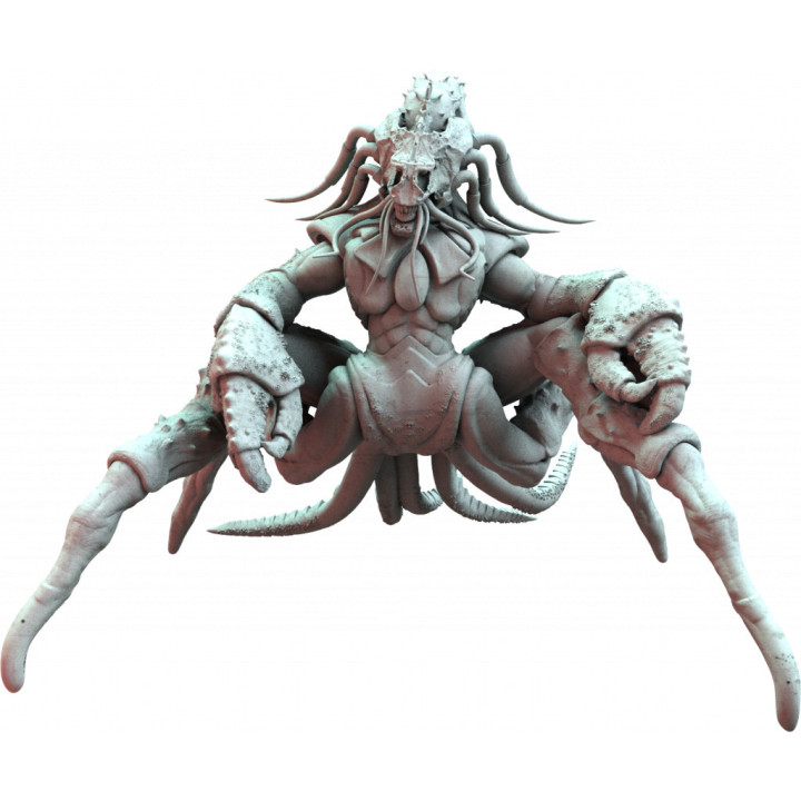 JEUX EXPERTS - Nemesis - Kings