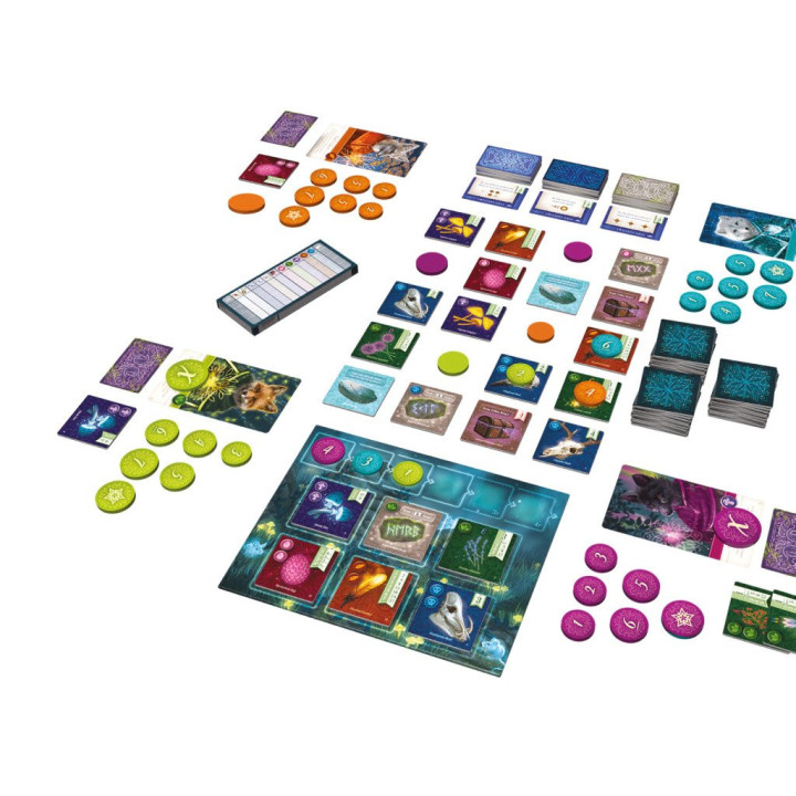 JEUX EN FAMILLE - Nocturne
