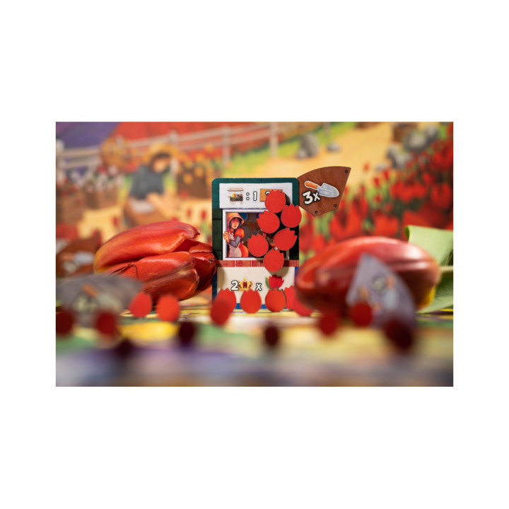 Windmill Valley - EXPERT GAMES