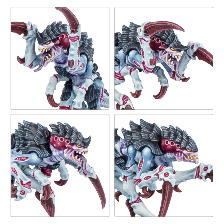 KILL TEAM - Kill Team: Typhon