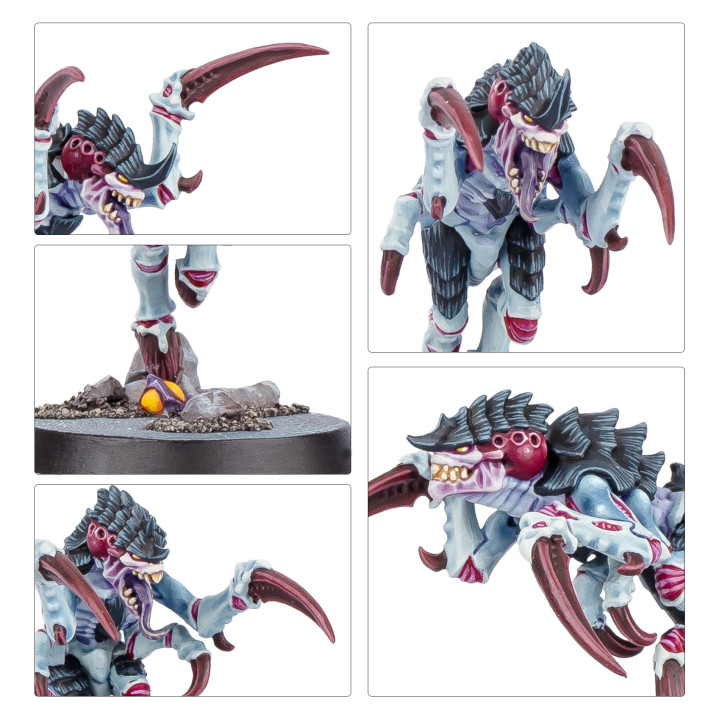 KILL TEAM - Kill Team: Typhon