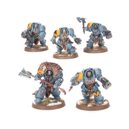 SPACE MARINES - Terminators Gardes Loups