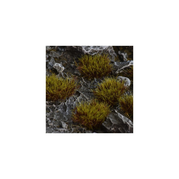 Swamp - Wild XL - 8mm - FIGURINE GAMES