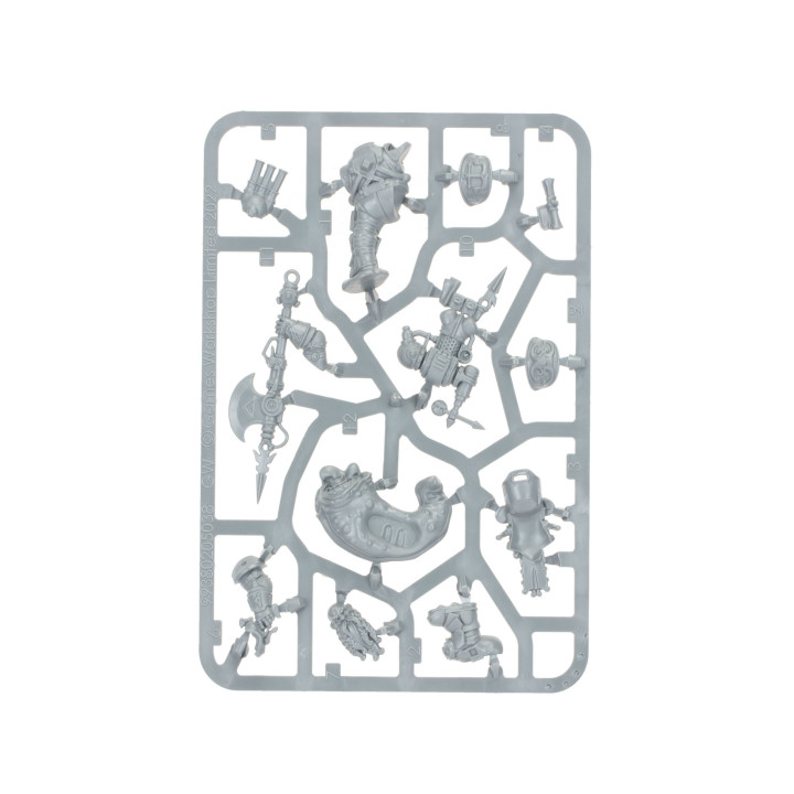Regiment von Renom: Die Korsaren von Drekki - GRAND ALLIANCE ORDER