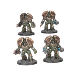 Saturnine Terminators Squad - FORCE ORGANISATION