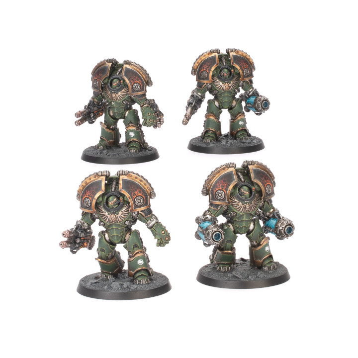 Saturnine Terminatoren-Eskorte - FORCE ORGANISATION