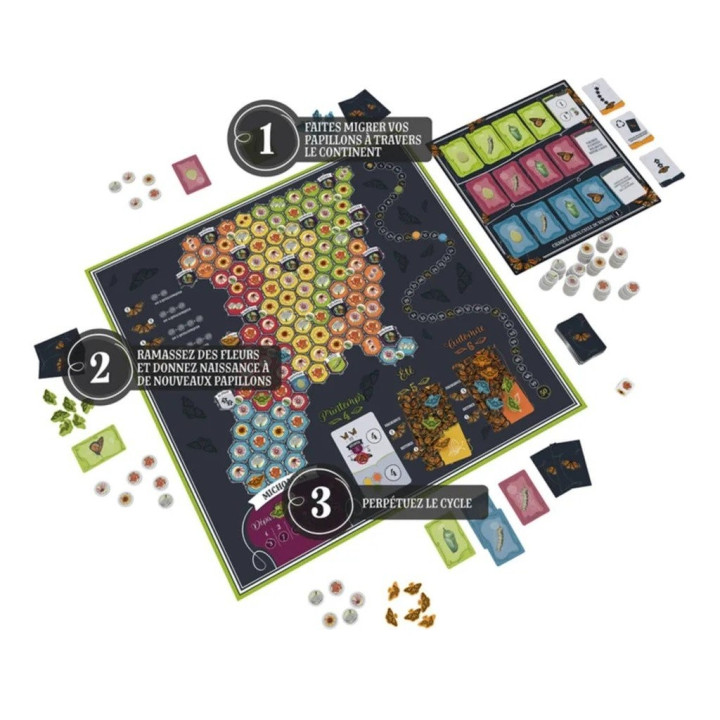 JEUX EXPERTS - Mariposas