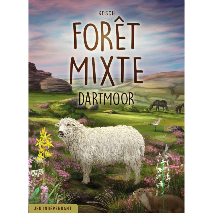 Forêt Mixte : Dartmoor _ GESELLSCHAFTSSPIELE