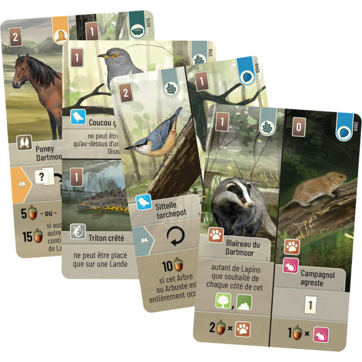 Forêt Mixte : Dartmoor _ GESELLSCHAFTSSPIELE