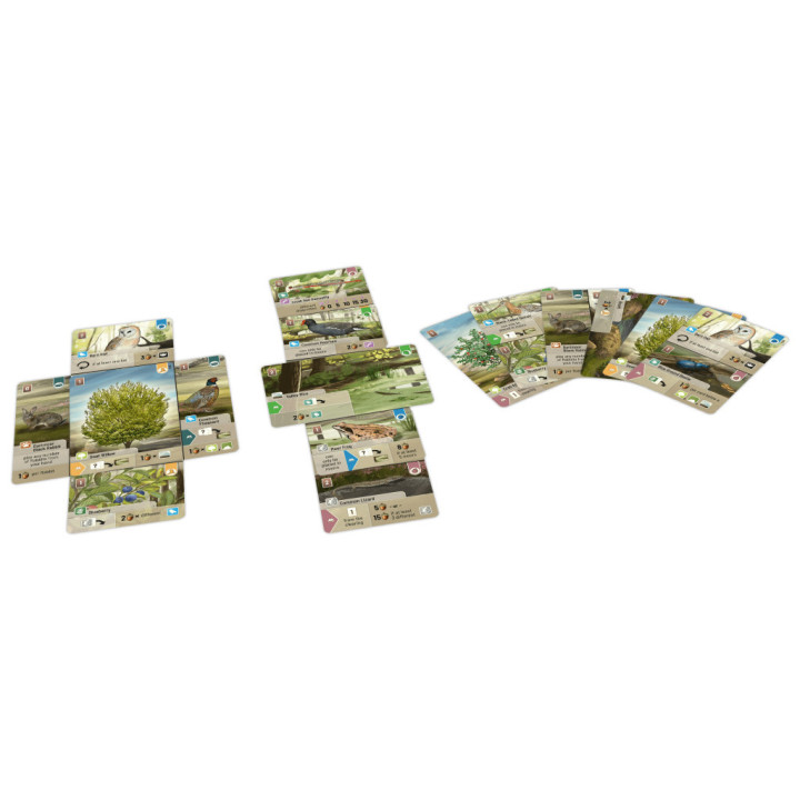 Forêt Mixte : Dartmoor _ GESELLSCHAFTSSPIELE