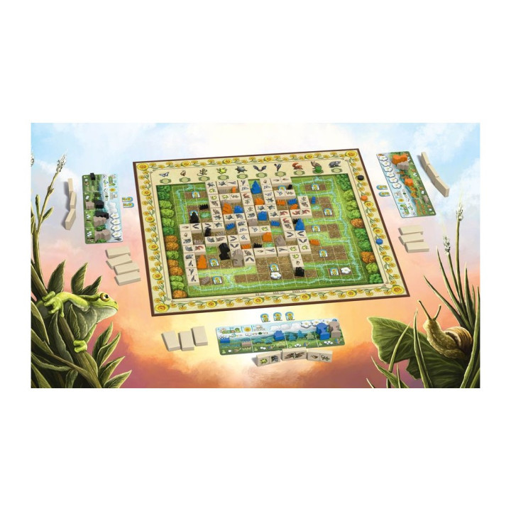 Renature - BOARD GAMES