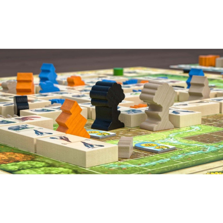 Renature - BOARD GAMES