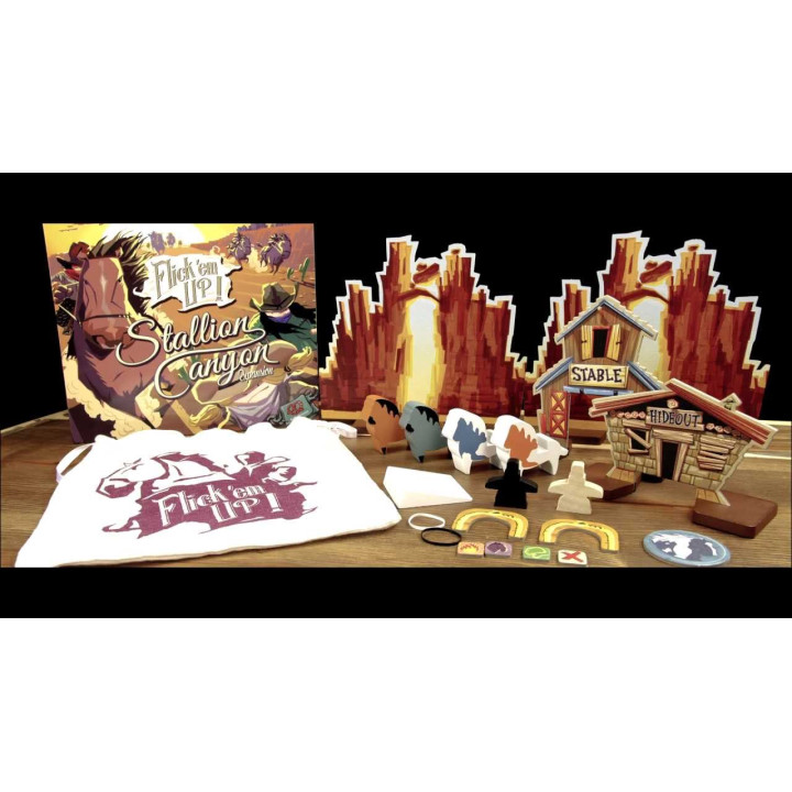 JEUX DE SOCIÉTÉ - Flick'em up! - Stallion Canyon