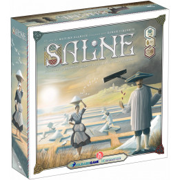 JEUX DE SOCIÉTÉ : Saline