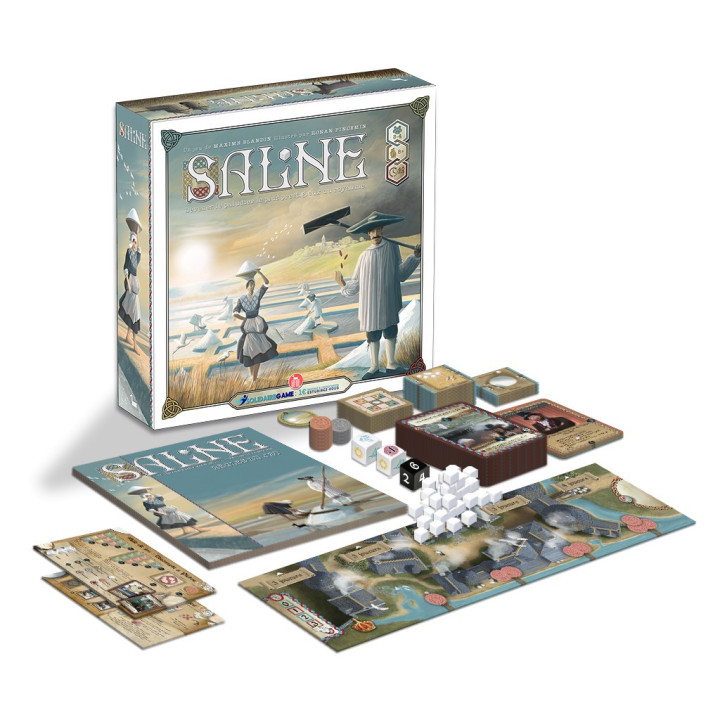 JEUX DE SOCIÉTÉ : Saline