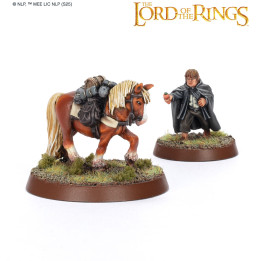 Samwise Gamgee™ e Bill il Pony™ - THE LORD OF THE RINGS - BUONO