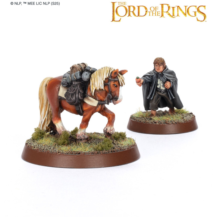 Samwise Gamgee™ et Bill the Pony™