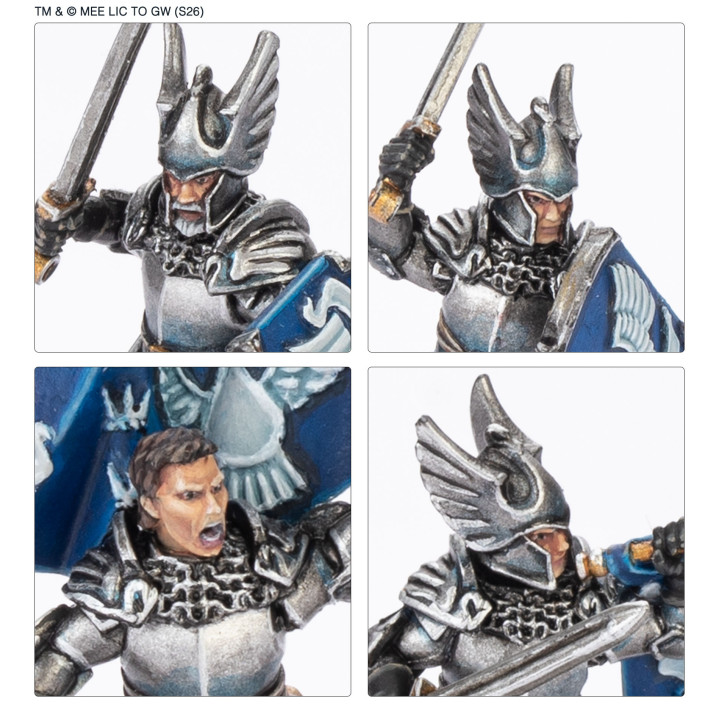 Fußritter von Dol Amroth™ _ THE LORD OF THE RINGS - GUT