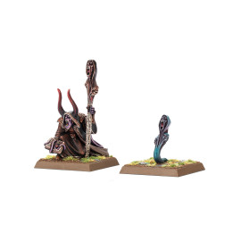 Hexer des Chaos mit Gelehrsamem Homunkulus _ WARRIORS OF CHAOS