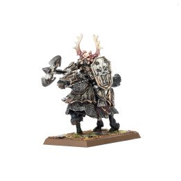 Klassischer Kriegsherr des Chaos auf Chaosross _ WARRIORS OF CHAOS