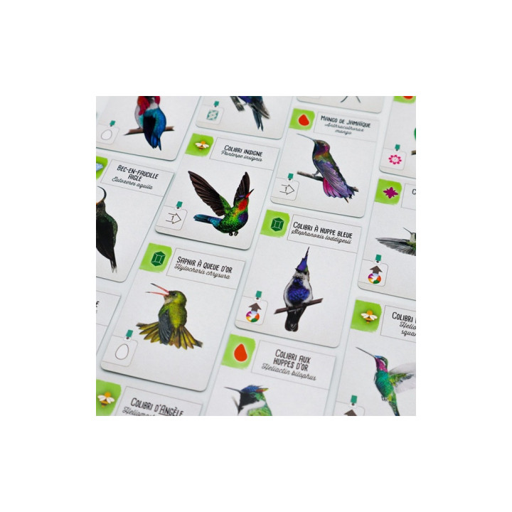 Wingspan - Extension Amériques