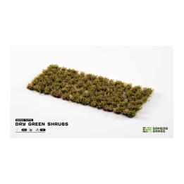 Dry Green Shrubs
