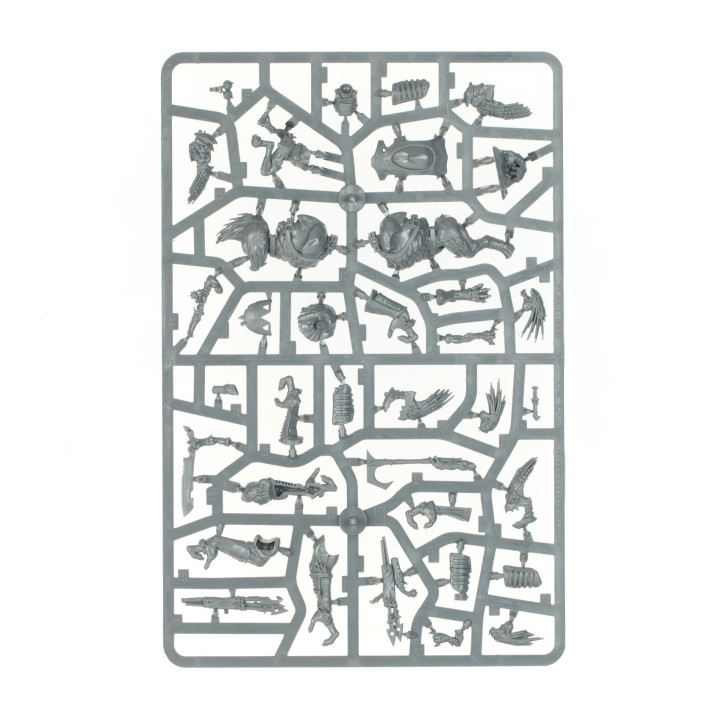 Combat Patrol: Kroot - COMBAT PATROL
