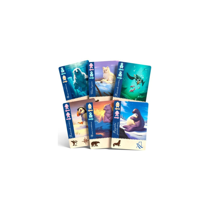 Borealis : Expéditions Arctiques