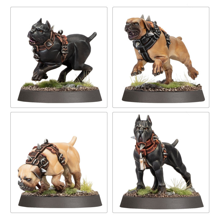 Regiment of Renown: Mastiffs of Ven Denst - GRAND ALLIANCE ORDER