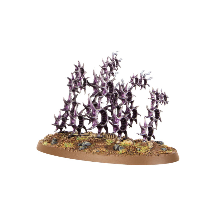 Regiment des Ruhms: Das verfluchte Spiegelbild _ GRAND ALLIANCE CHAOS