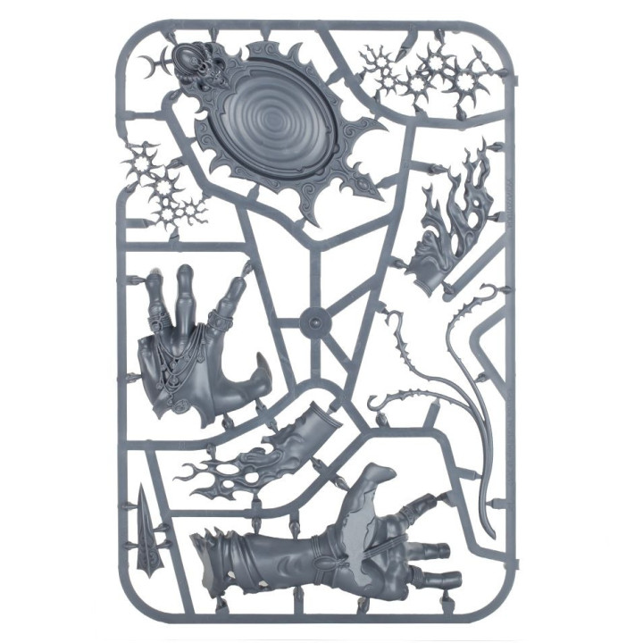 Regiment des Ruhms: Das verfluchte Spiegelbild _ GRAND ALLIANCE CHAOS