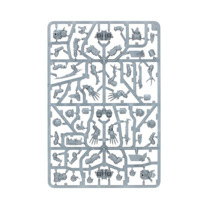 Rapaces / Serres du Warp