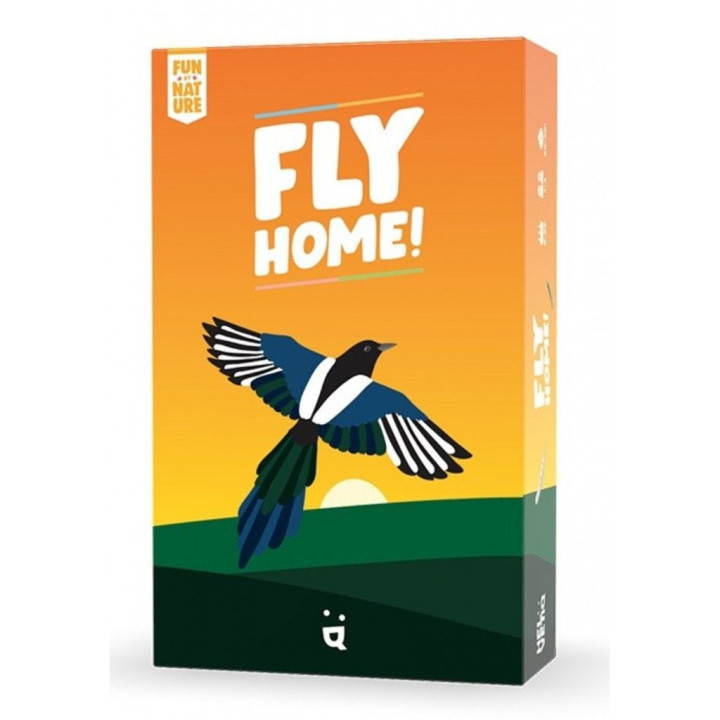 Fly Home ! - GIOCHI DA TAVOLO
