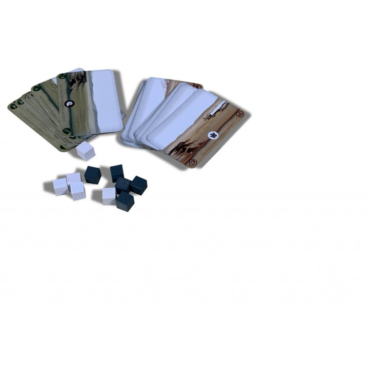 The Great Race - Extension 2 - BOARD GAMES