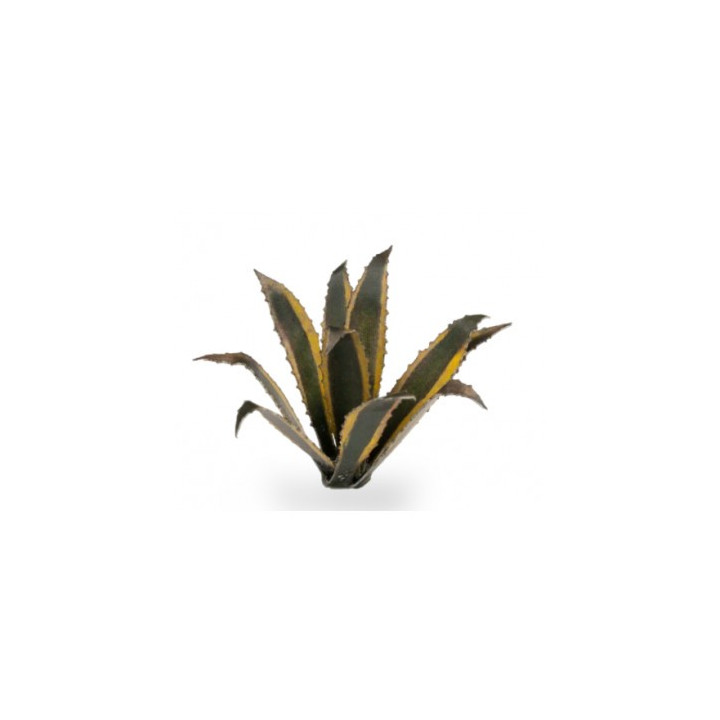 Laser Plants - Agave - PAPIERPFLANZEN
