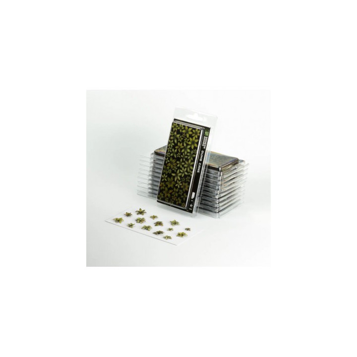 PLANTES PAPIER - Laser Plants - Dumb Cane