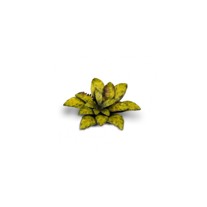 PLANTES PAPIER - Laser Plants - Dumb Cane