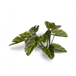 PLANTES PAPIER - Laser Plants - Elephant Ear