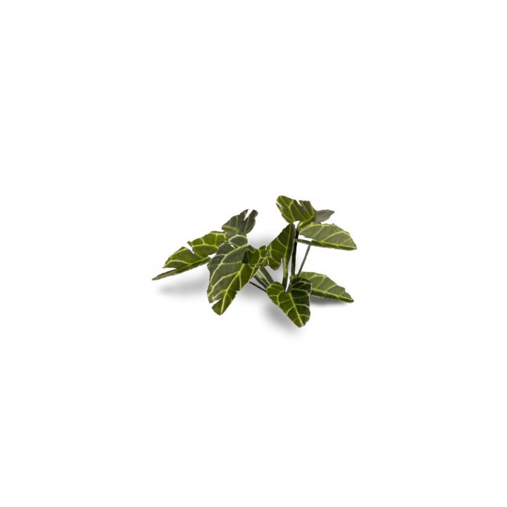 PLANTES PAPIER - Laser Plants - Elephant Ear