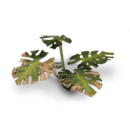 PLANTES PAPIER - Laser Plants - Monstera