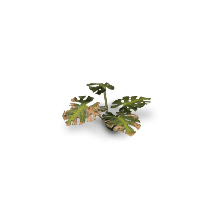 PLANTES PAPIER - Laser Plants - Monstera