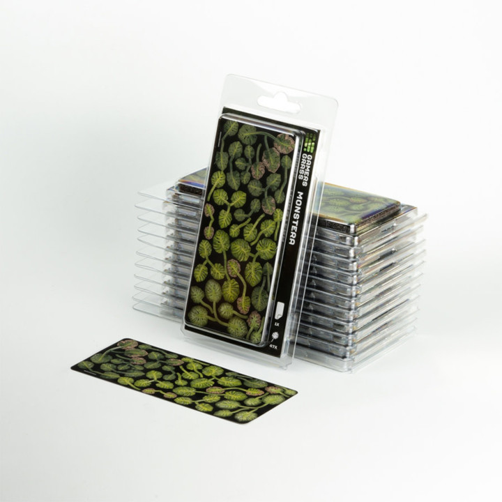 PLANTES PAPIER - Laser Plants - Monstera