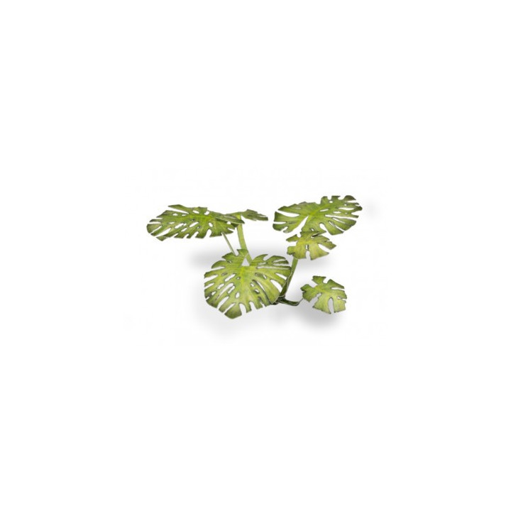 PLANTES PAPIER - Laser Plants - Monstera