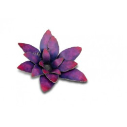 PLANTES PAPIER - Laser Plants - Alien Rosette