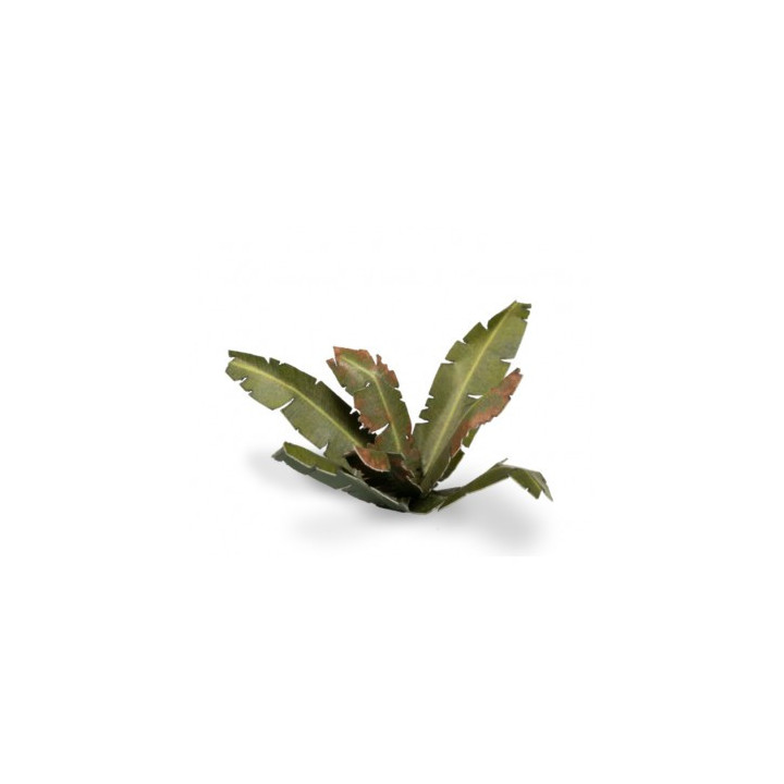 PLANTES PAPIER - Laser Plants - Banana Tree
