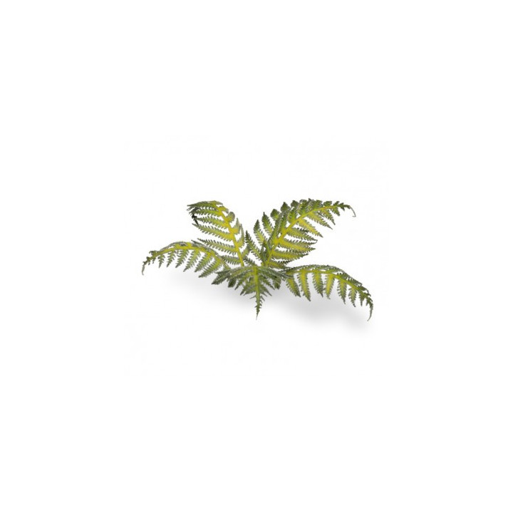PLANTES PAPIER - Laser Plants - Bracken
