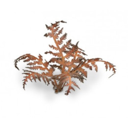 PLANTES PAPIER - Laser Plants - Dry Bracken