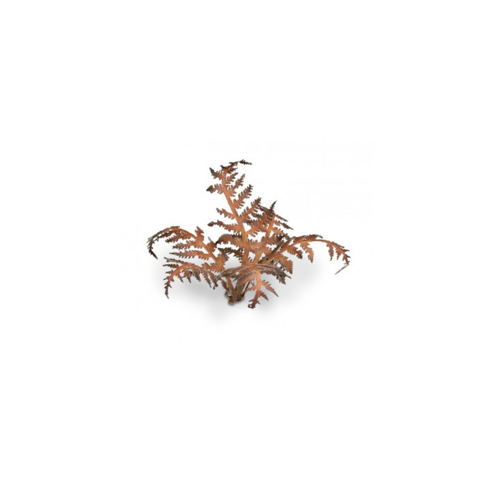 PLANTES PAPIER - Laser Plants - Dry Bracken