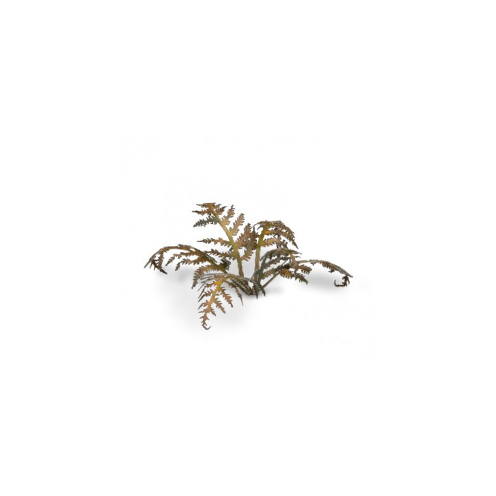 PLANTES PAPIER - Laser Plants - Dry Bracken